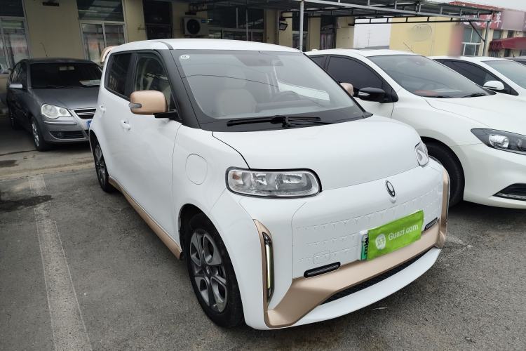 Used ORA White Cat 2022 Xiaoyue Mao Edition 360 km Luxury Model Lithium NMC Exterior 1