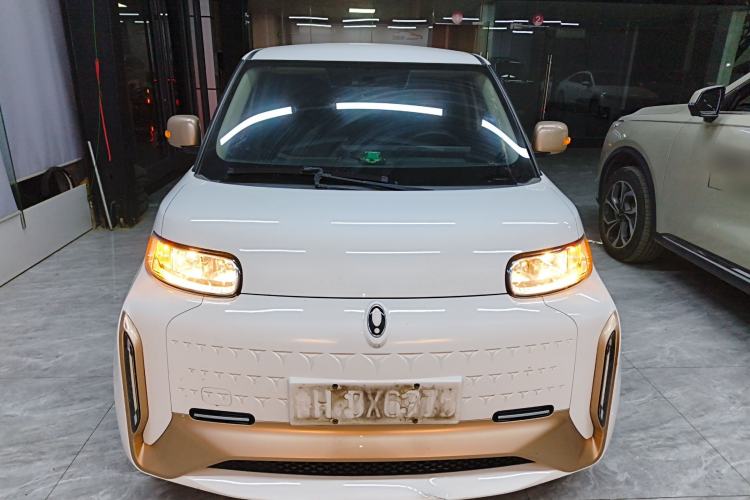 Used ORA White Cat 2022 Xiaoyue Mao Edition 360 km Luxury Model Lithium NMC Exterior 1