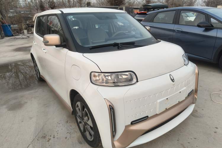 Used ORA White Cat 2022 Xiaoyue Mao Edition 360 km Luxury Model Lithium NMC Exterior 1