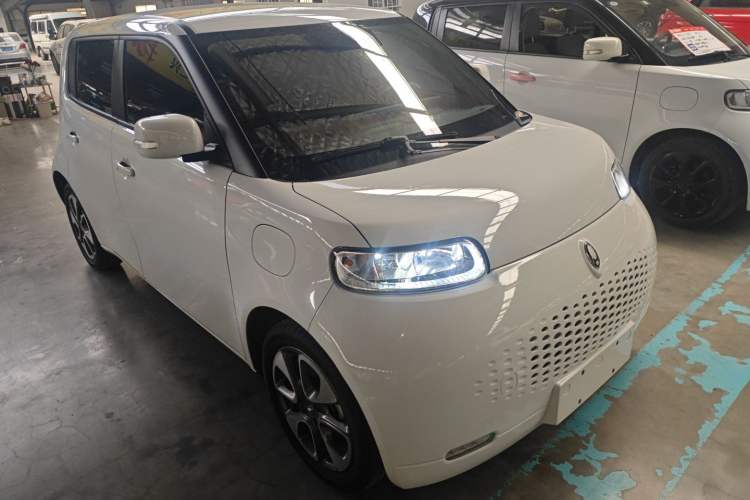 Used ORA White Cat 2022 Upgraded Model 305km Range Luxury Version Lithium-Ion Battery Exterior 1
