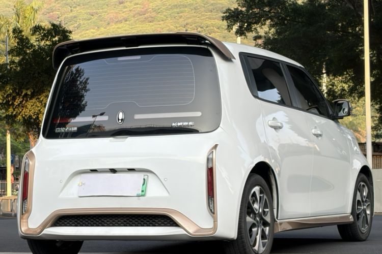 Used ORA White Cat 2022 Xiaoyue Mao Edition 360 km Luxury Model Lithium NMC Exterior 2