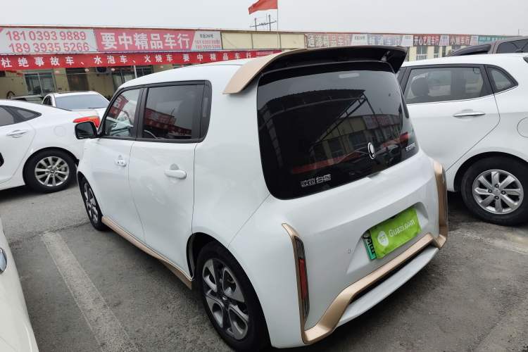 Used ORA White Cat 2022 Xiaoyue Mao Edition 360 km Luxury Model Lithium NMC Exterior 2