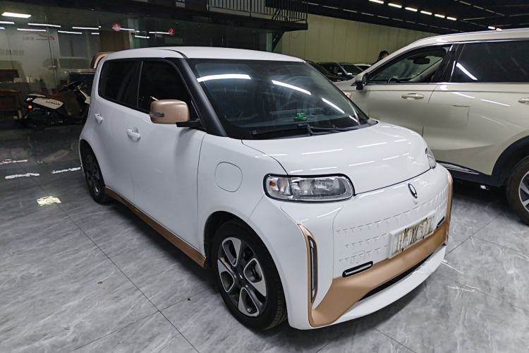 Used ORA White Cat 2022 Xiaoyue Mao Edition 360 km Luxury Model Lithium NMC Exterior 2
