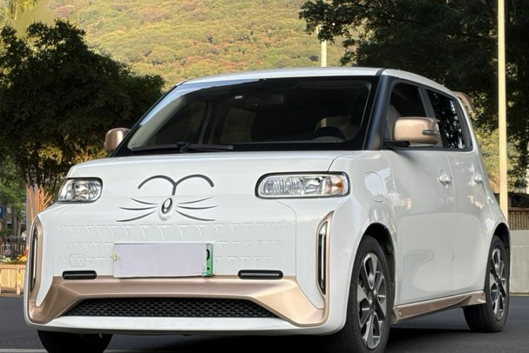 Used ORA White Cat 2022 Xiaoyue Mao Edition 360 km Luxury Model Lithium NMC Exterior 3