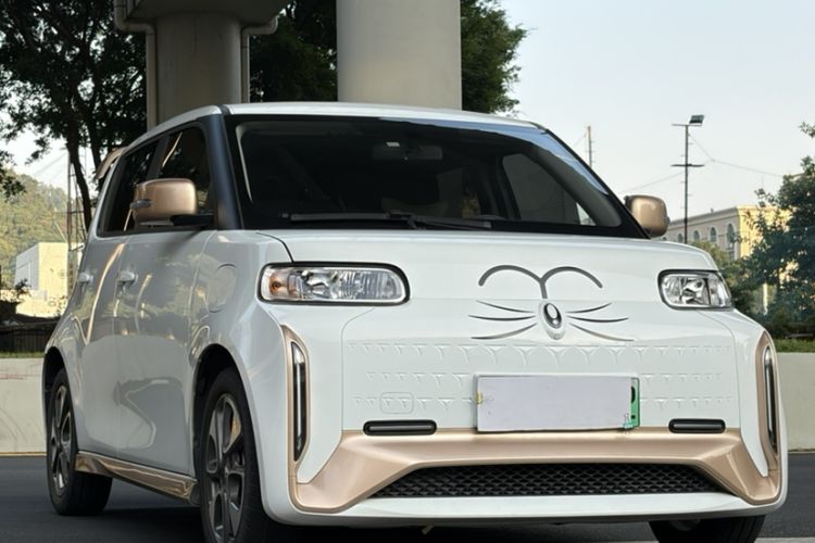 Used ORA White Cat 2022 Xiaoyue Mao Edition 360 km Luxury Model Lithium NMC Exterior 4