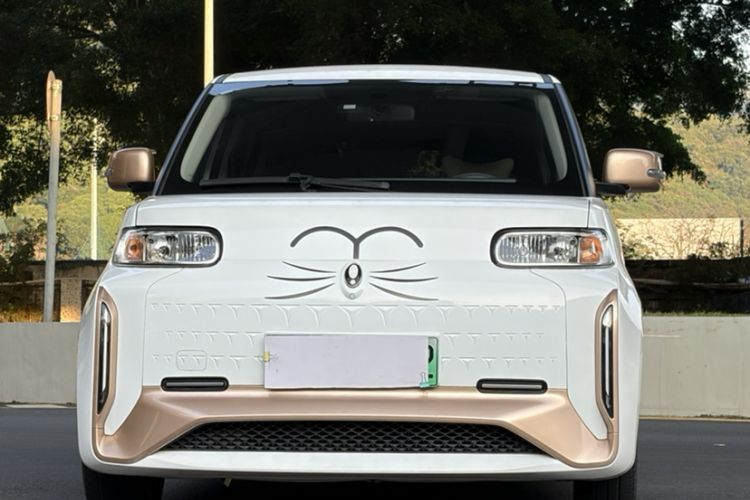 Used ORA White Cat 2022 Xiaoyue Mao Edition 360 km Luxury Model Lithium NMC Exterior 5