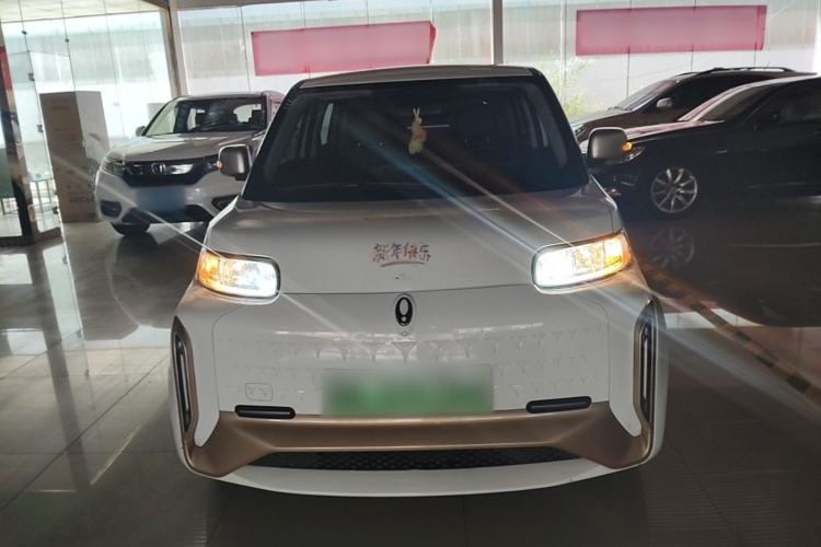 Used ORA White Cat 2022 Xiaoyue Mao Edition 360 km Luxury Model Lithium NMC Front