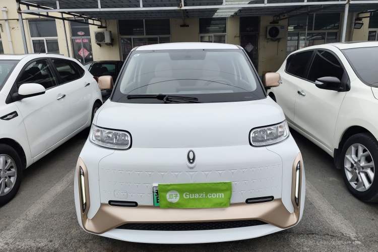 Used ORA White Cat 2022 Xiaoyue Mao Edition 360 km Luxury Model Lithium NMC Front