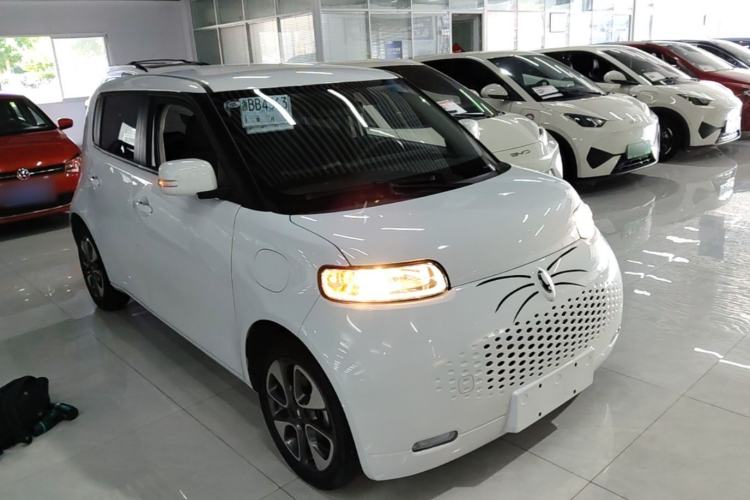Used ORA White Cat 2022 Upgraded Model 305km Range Luxury Version Lithium-Ion Battery Front Right 45 Deg