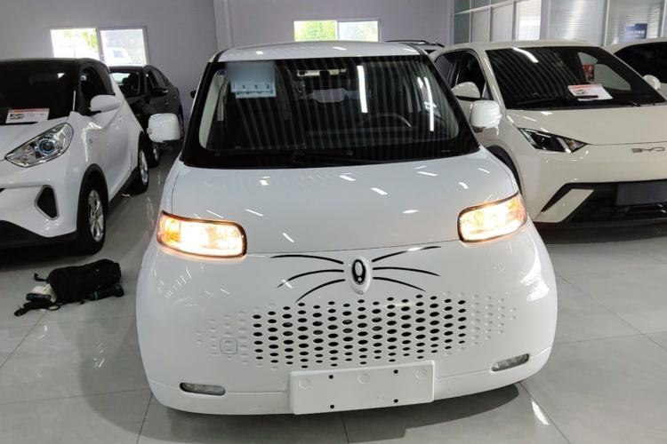 Used ORA White Cat 2022 Upgraded Model 305km Range Luxury Version Lithium-Ion Battery Front