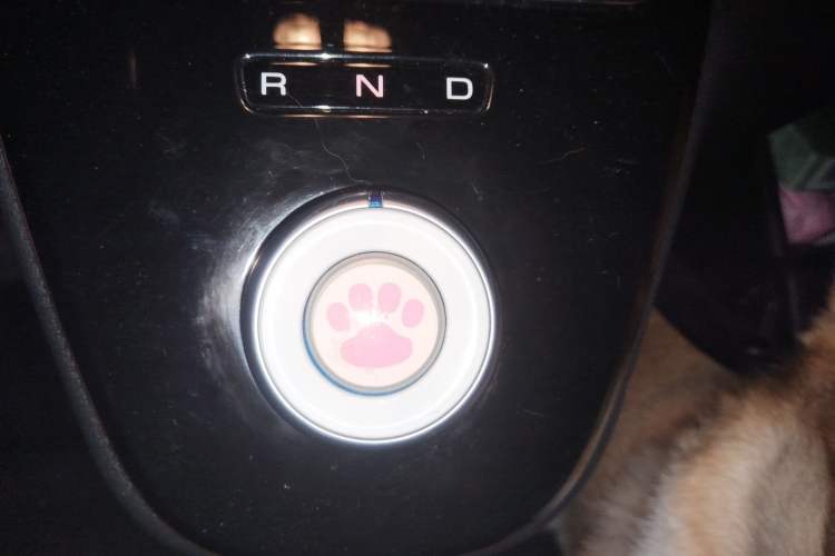 Used ORA White Cat 2022 Xiaoyue Mao Edition 360 km Luxury Model Lithium NMC Gear Lever