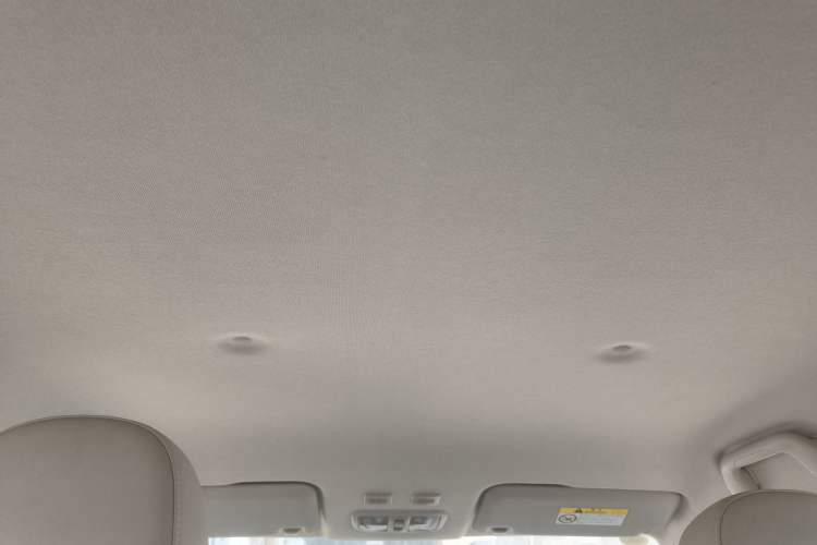 Used ORA White Cat 2022 Xiaoyue Mao Edition 360 km Luxury Model Lithium NMC Headliner