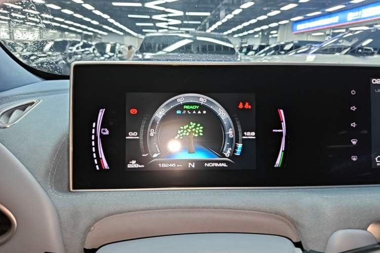 Used ORA White Cat 2022 Upgraded Model 305km Range Luxury Version Lithium-Ion Battery Instrument Cluster