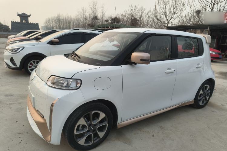 Used ORA White Cat 2022 Xiaoyue Mao Edition 360 km Luxury Model Lithium NMC Left Side