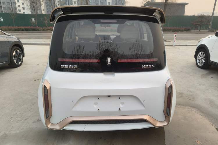 Used ORA White Cat 2022 Xiaoyue Mao Edition 360 km Luxury Model Lithium NMC Rear