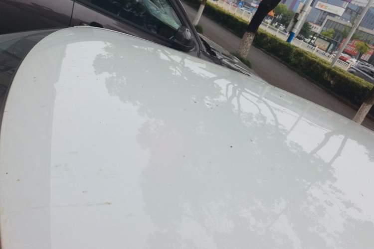 Used ORA White Cat 2022 Upgraded Model 305km Range Luxury Version Lithium-Ion Battery Roof