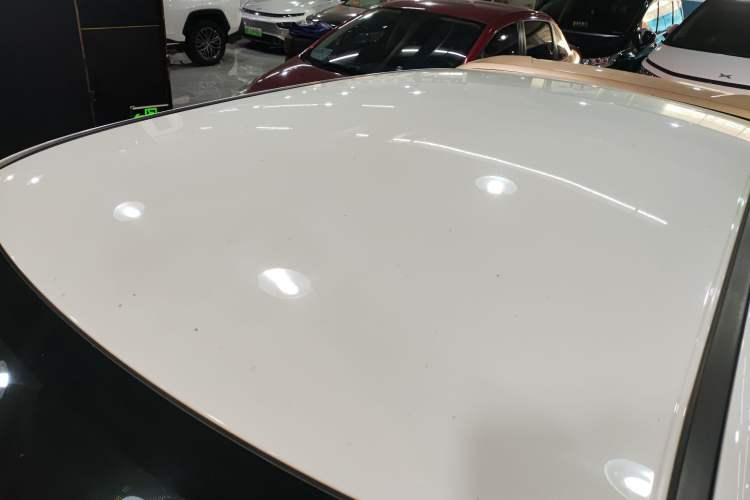 Used ORA White Cat 2022 Xiaoyue Mao Edition 360 km Luxury Model Lithium NMC Roof