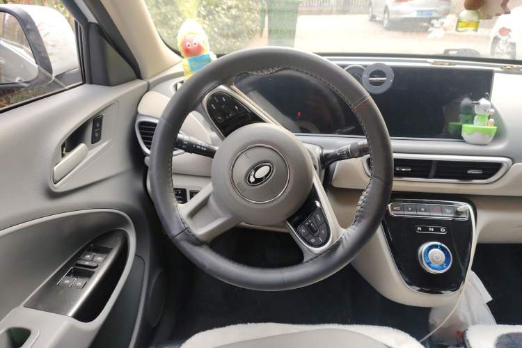 Used ORA White Cat 2022 Upgraded Model 305km Range Luxury Version Lithium-Ion Battery Steering Wheel