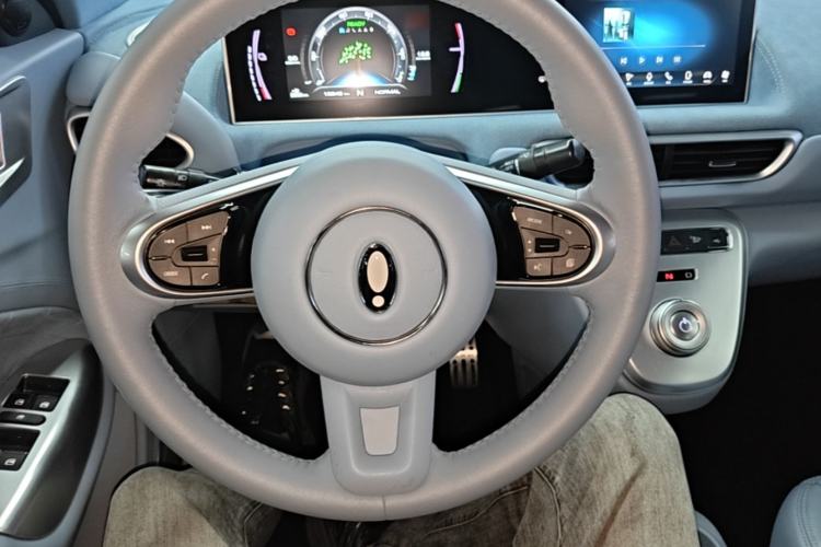 Used ORA White Cat 2022 Upgraded Model 305km Range Luxury Version Lithium-Ion Battery Steering Wheel