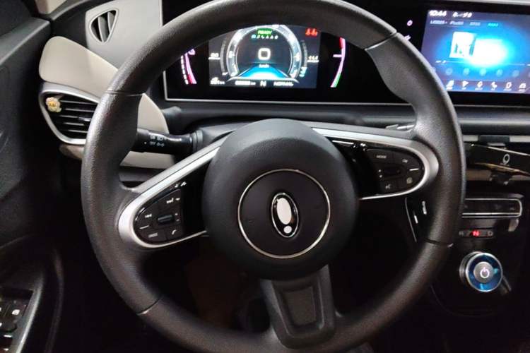 Used ORA White Cat 2022 Upgraded Model 305km Range Luxury Version Lithium-Ion Battery Steering Wheel