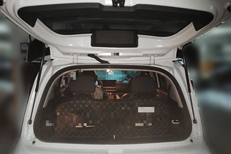 Used ORA White Cat 2022 Xiaoyue Mao Edition 360 km Luxury Model Lithium NMC Trunk