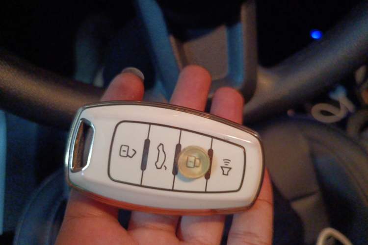 Used ORA White Cat 2022 Xiaoyue Mao Edition 360 km Luxury Model Lithium NMC Vehicle Key