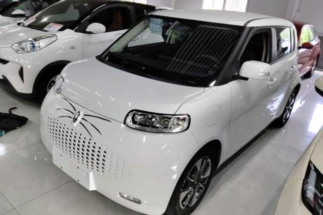 ORA White Cat 2022 Upgraded Model 305km Range Luxury Version Lithium-Ion Battery usado