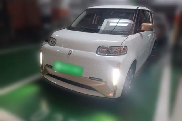 Used ORA White Cat 2022 Xiaoyue Mao Edition 360 km Luxury Model Lithium NMC