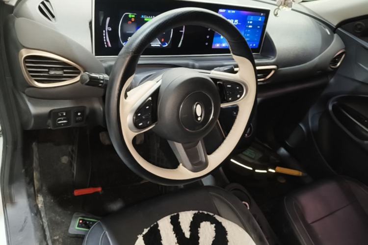 Used ORA White Cat 2022 Xiaoyue Mao Edition 360 km Luxury Model Lithium NMC Center Console