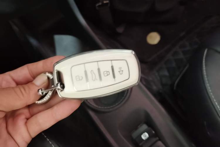 Used ORA White Cat 2022 Xiaoyue Mao Edition 360 km Luxury Model Lithium NMC Vehicle Key