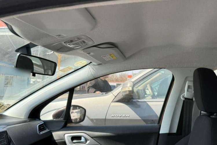 Used Peugeot 2008 2014 1.6L Automatic Trend Edition Headliner