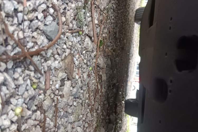 Used Peugeot 2008 2014 1.6L Automatic Fashion Edition Chassis Front
