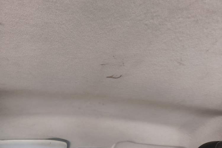 Used Peugeot 2008 2014 1.6L Automatic Trend Edition Headliner