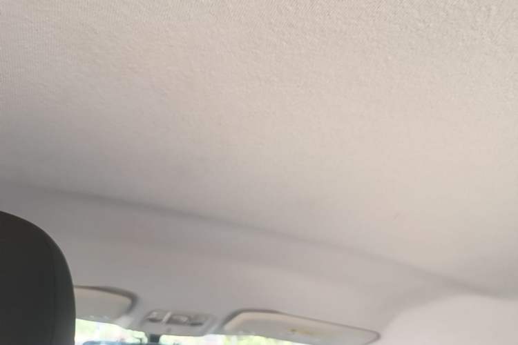 Used Peugeot 2008 2014 1.6L Automatic Trend Edition Headliner
