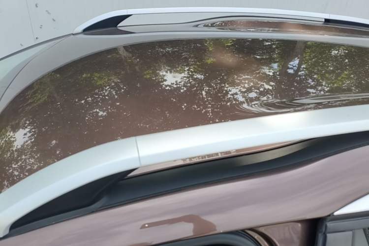 Used Peugeot 2008 2015 1.6L Automatic Playcool Edition Roof