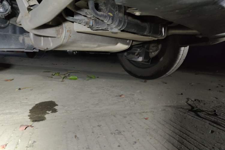Used Peugeot 2008 2022 230THP THE ONE Chassis Rear Left
