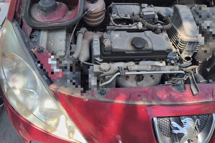 Used Peugeot 207 2010 Hatchback 1.4L Manual Yule Edition Engine Bay Right