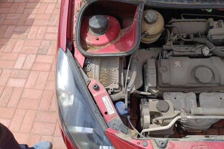 Used Peugeot 207 2011 Sedan 1.4L Manual Yule Edition Engine Bay Right