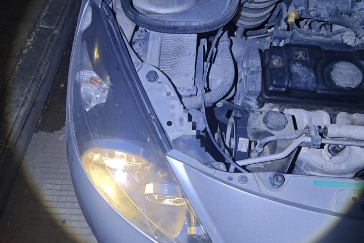 Used Peugeot 207 2011 Sedan 1.4L Manual Yule Edition Engine Bay Right