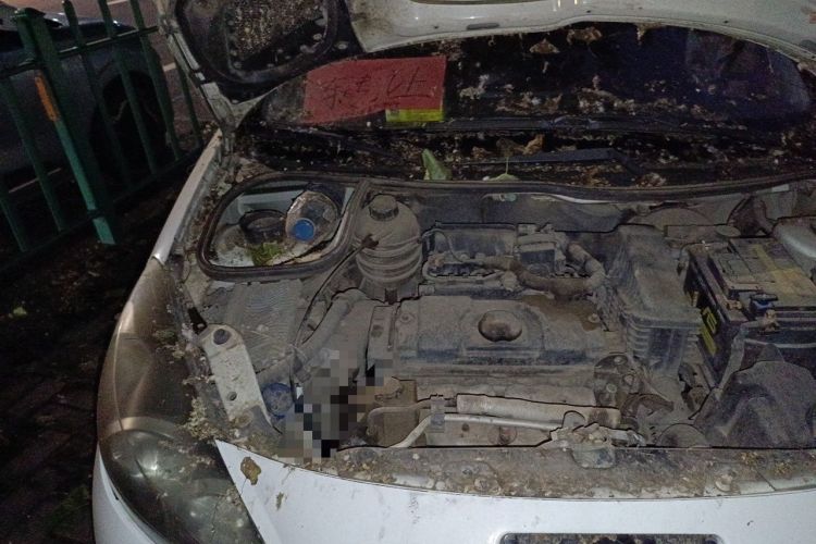 Used Peugeot 207 2011 Sedan 1.4L Manual Yule Edition Engine Bay Right