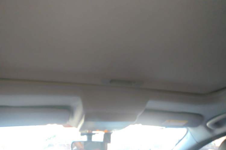 Used Peugeot 3008 2013 2.0L Automatic Trend Edition Headliner