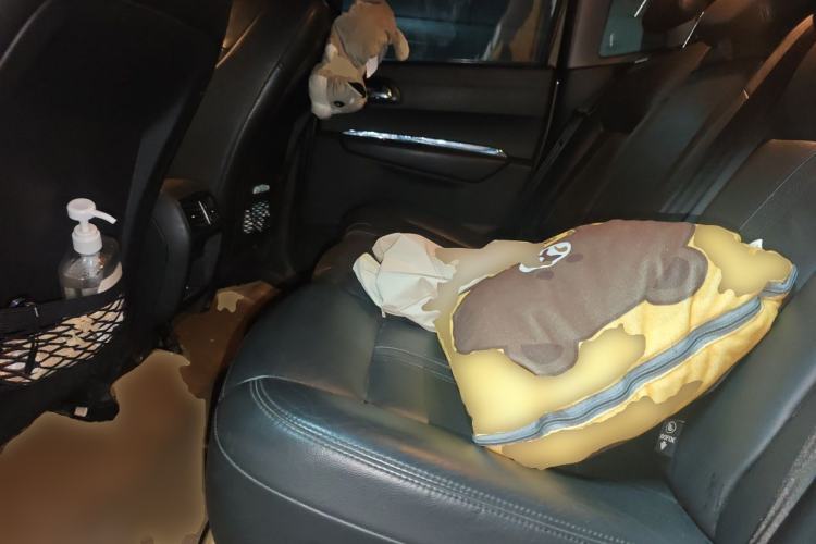 Used Peugeot 3008 2013 2.0L Automatic Trend Edition Left Rear Seat