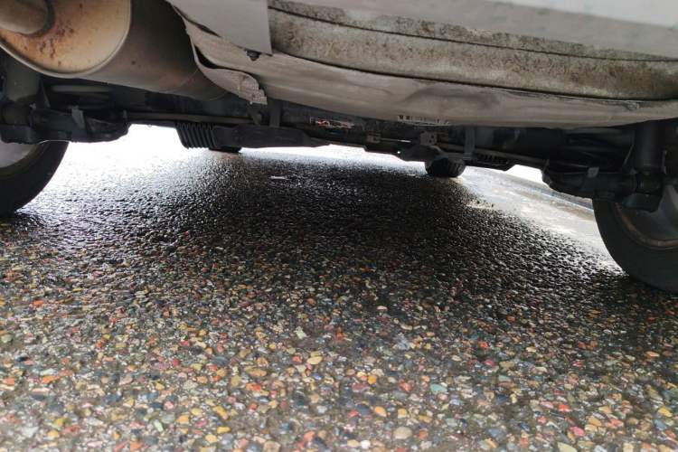 Used Peugeot 3008 2013 2.0L Automatic Trend Edition Chassis Rear