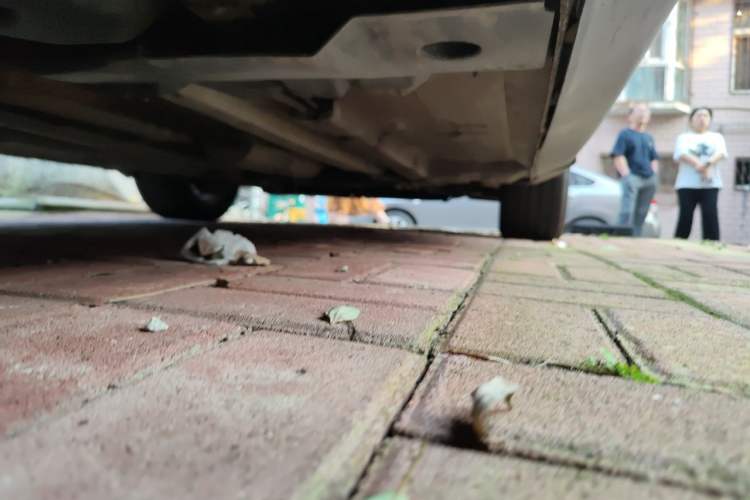 Used Peugeot 3008 2013 1.6THP Automatic Prestige Edition Chassis Rear Right