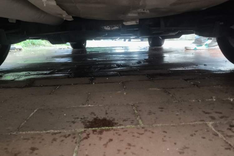 Used Peugeot 3008 2013 2.0L Automatic Trend Edition Chassis Rear