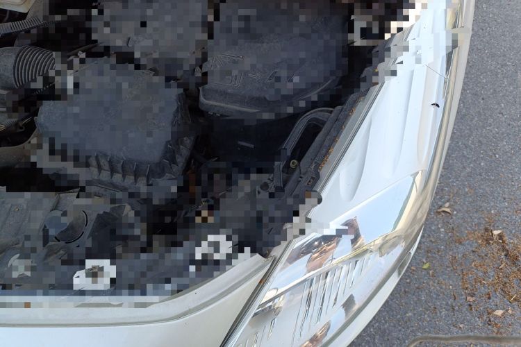 Used Peugeot 3008 2013 2.0L Automatic Classic Edition Engine Bay Left