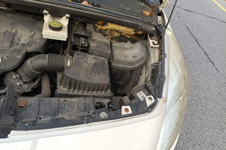 Used Peugeot 3008 2013 2.0L Automatic Trend Edition Engine Bay Left