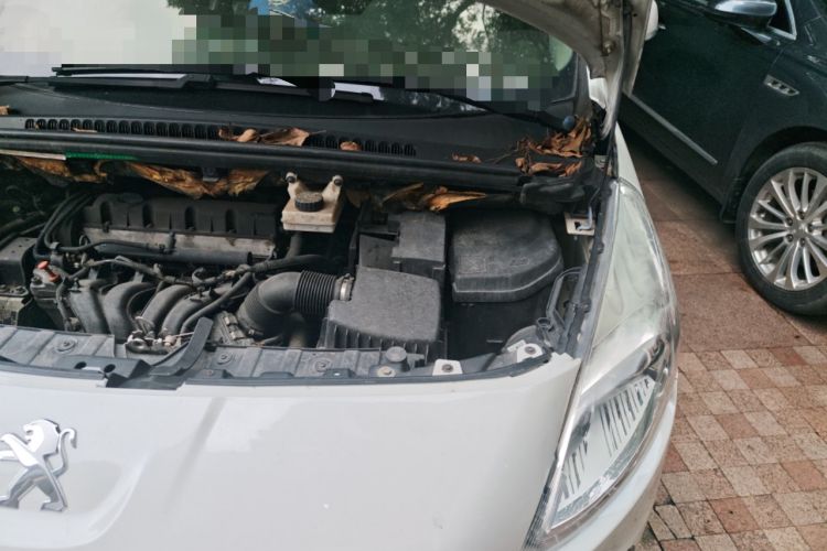 Used Peugeot 3008 2013 2.0L Automatic Trend Edition Engine Bay Left