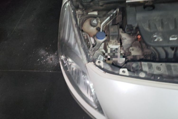 Used Peugeot 3008 2013 2.0L Automatic Trend Edition Engine Bay Right