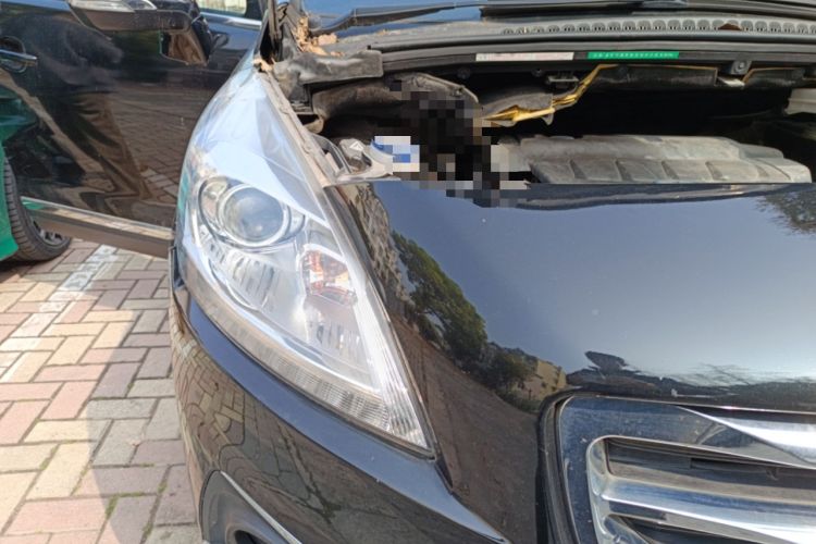 Used Peugeot 3008 2015 2.0L Automatic Classic Edition Right Front Headlight